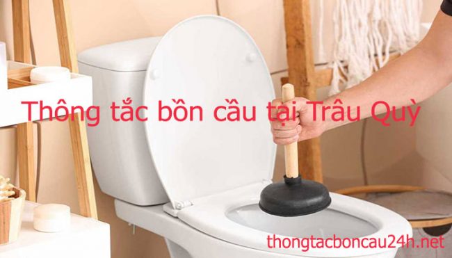 Thông Tắc Bồn Cầu Tại Trâu Quỳ